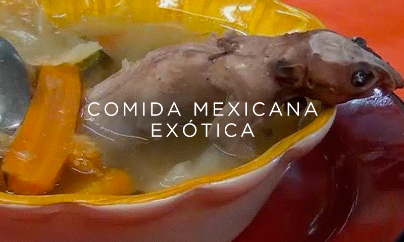 Comidas exóticas mexicanas que debes de probar una vez en la vida