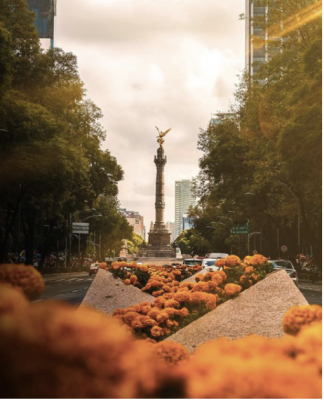 The Angel of Independence, most commonly known by the shortened name El Ángel and officially known as Monumento a la Independencia 
