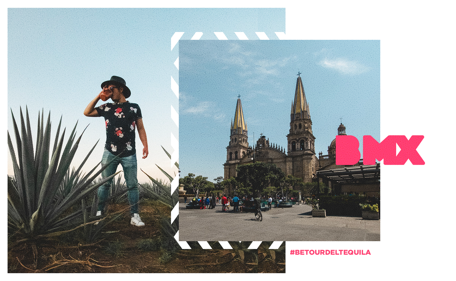 Tour del Tequila y Guadalajara desde CDMX: Conoce todo el tour tequila con Be México