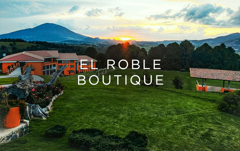 el roble resort hotel boutique a solo 90 minutos de CDMX